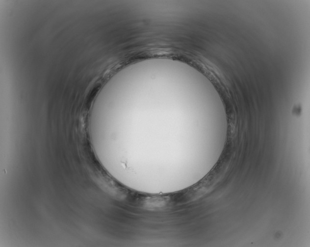 X0000096970373200802081257