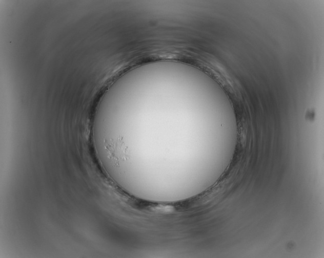 X0000096970374200802081257