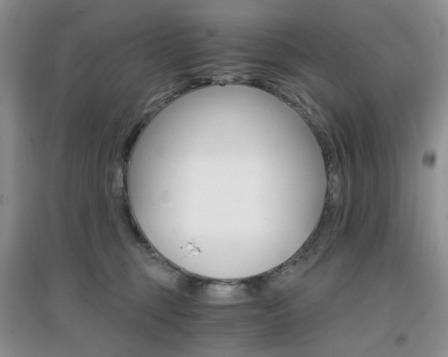 X0000096970375200802081257