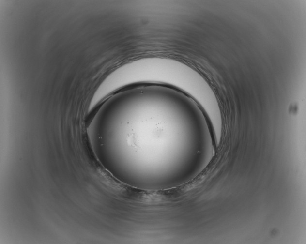 X0000096970376200802081257