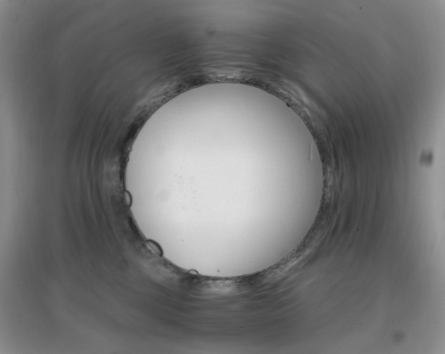 X0000096970377200802081257