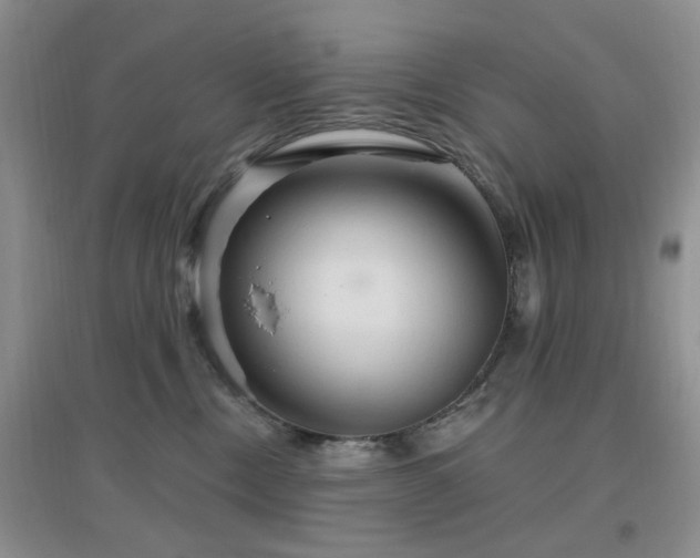 X0000096970378200802081257