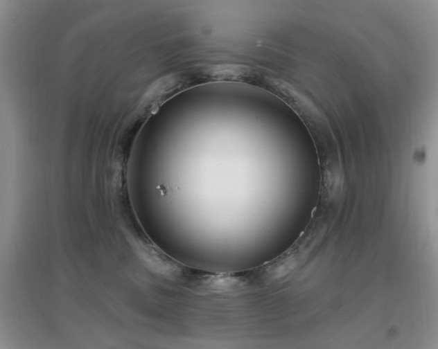 X0000096970379200802081257