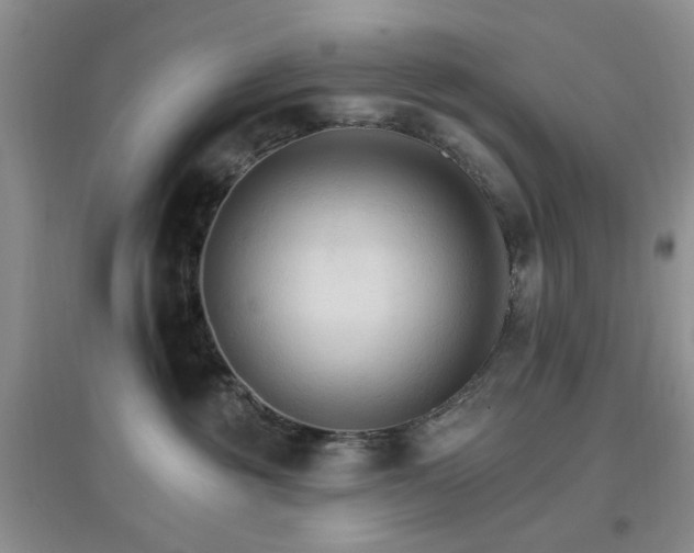 X0000096970381200802081258