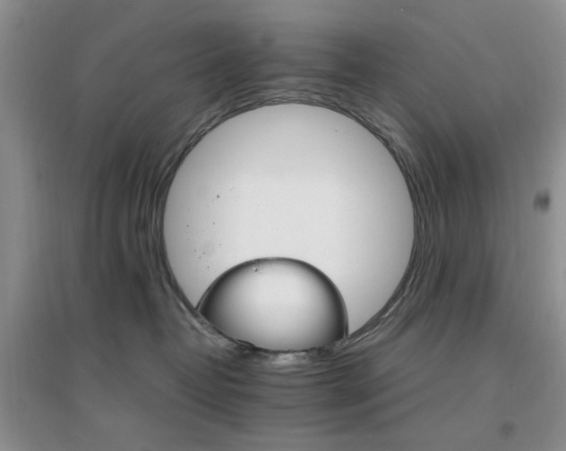 X0000096970382200802081258