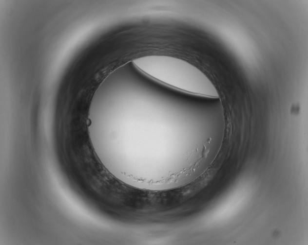X0000096970383200802081258