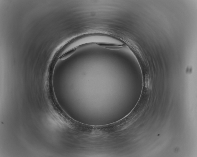 X0000096970388200802081257