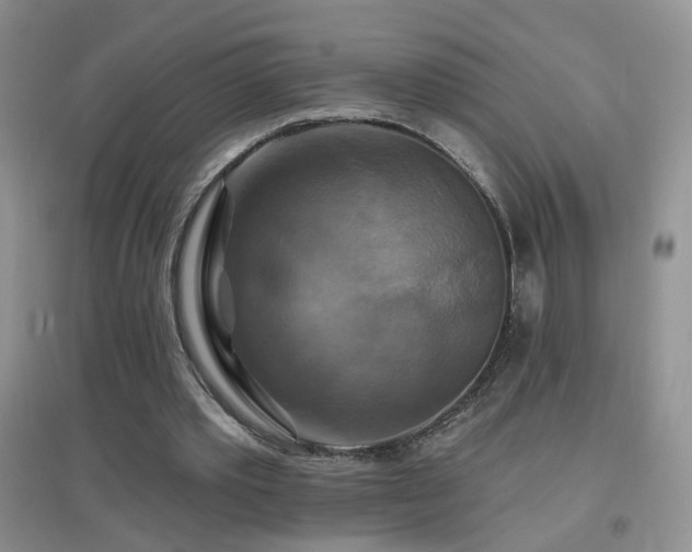 X0000096970389200802081257