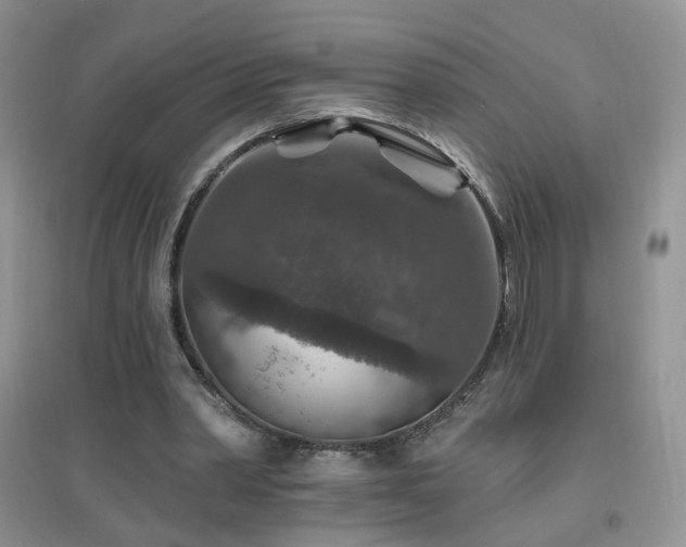 X0000096970390200802081257