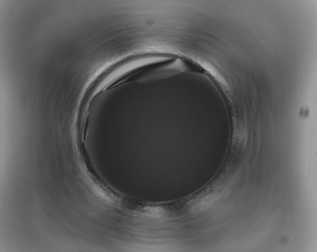 X0000096970391200802081257