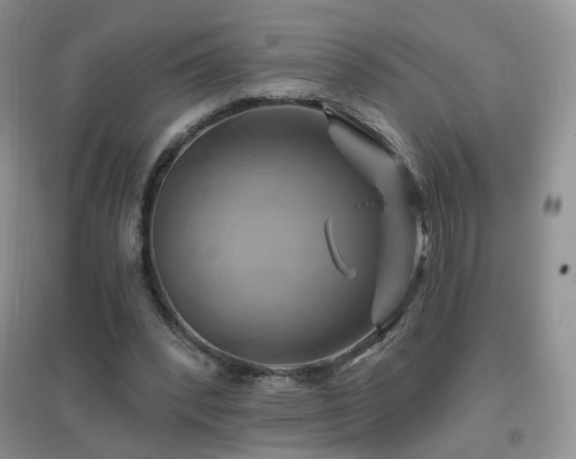 X0000096970392200802081257
