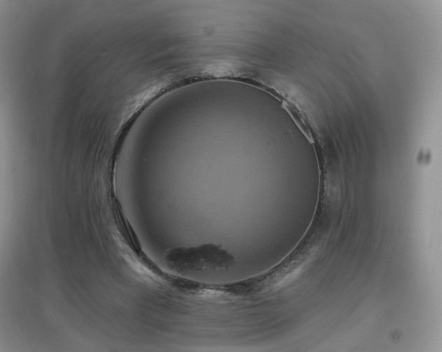 X0000096970393200802081257