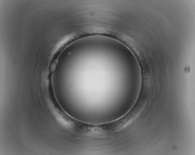 X0000096970395200802081257