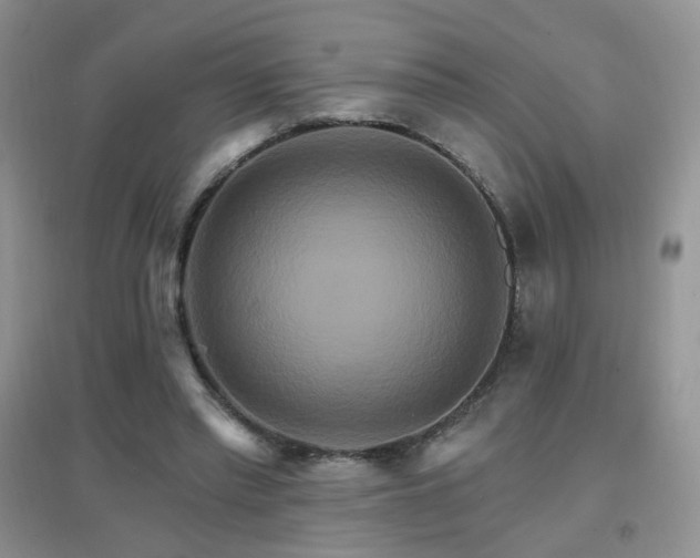 X0000096970397200802081257