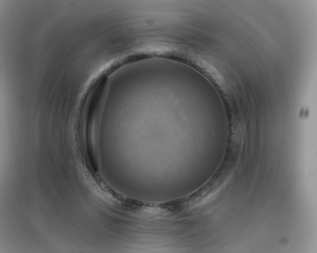 X0000096970399200802081257