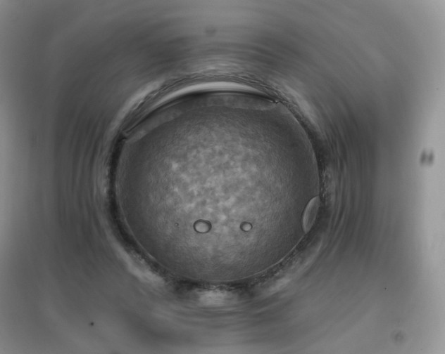 X0000096970400200802081257