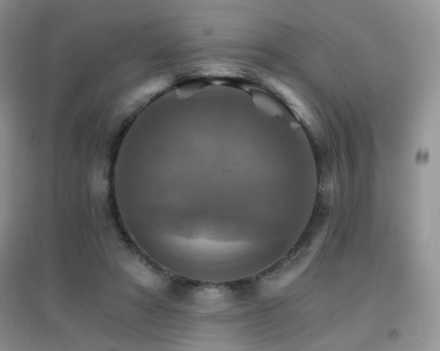 X0000096970402200802081257