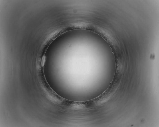 X0000096970403200802081257