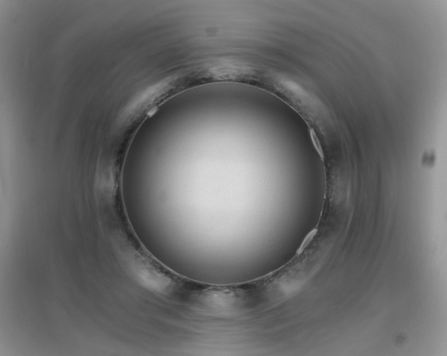 X0000096970405200802081257