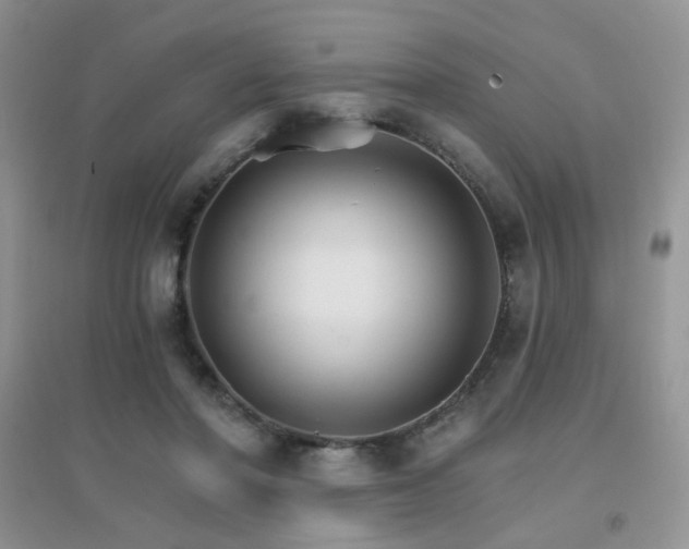 X0000096970406200802081257