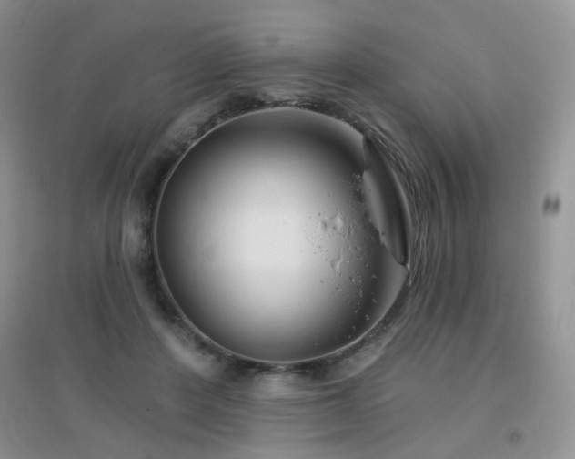 X0000096970408200802081257