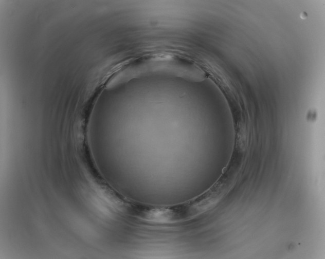 X0000096970410200802081257