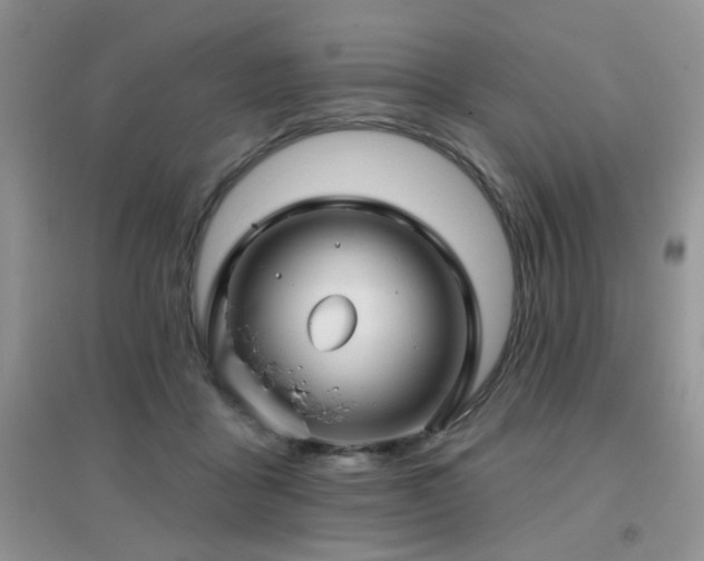 X0000096970411200802081257