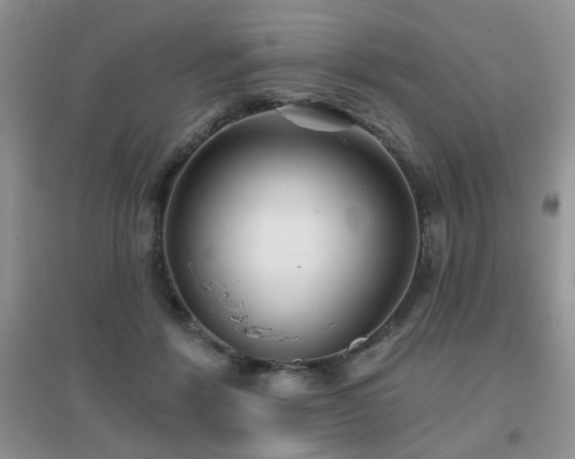 X0000096970412200802081257