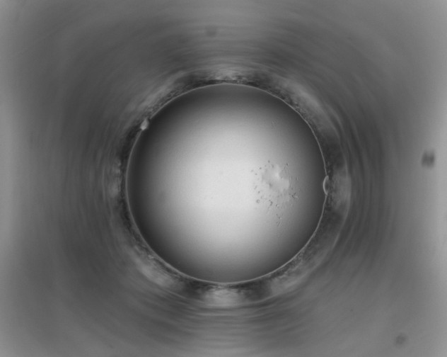 X0000096970413200802081256