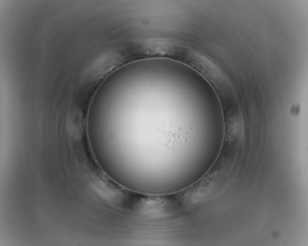 X0000096970414200802081256