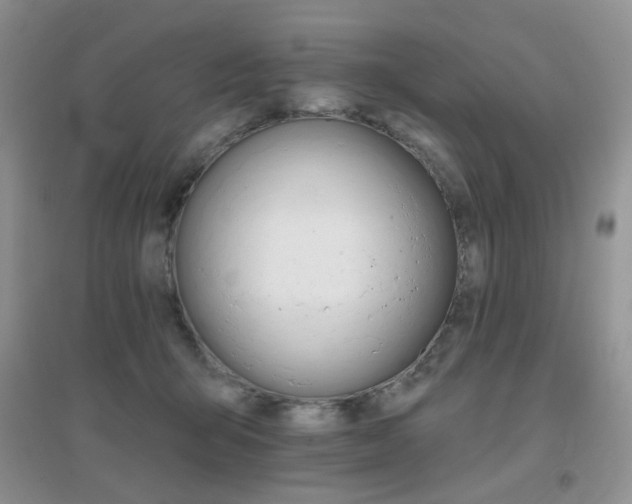X0000096970415200802081256