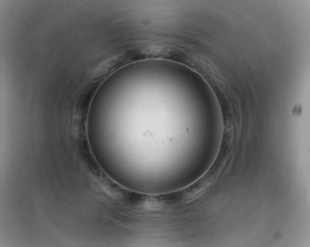 X0000096970416200802081256