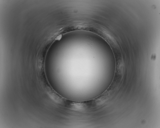 X0000096970417200802081256