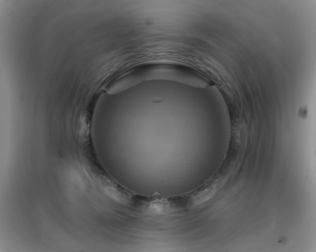 X0000096970420200802081256