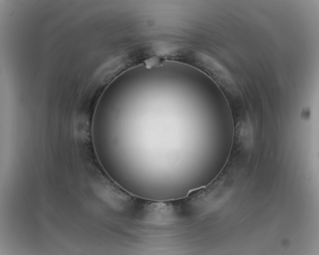 X0000096970421200802081256