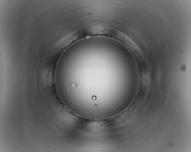 X0000096970422200802081256