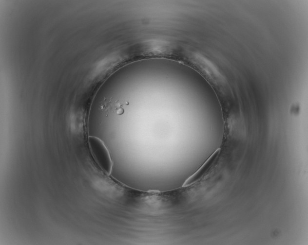 X0000096970423200802081256