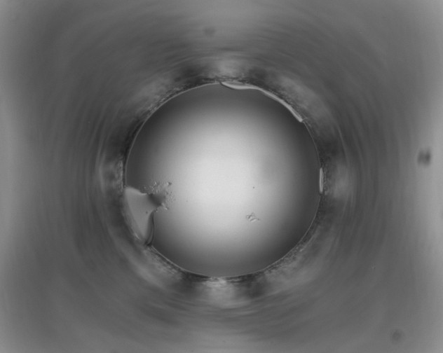 X0000096970425200802081256