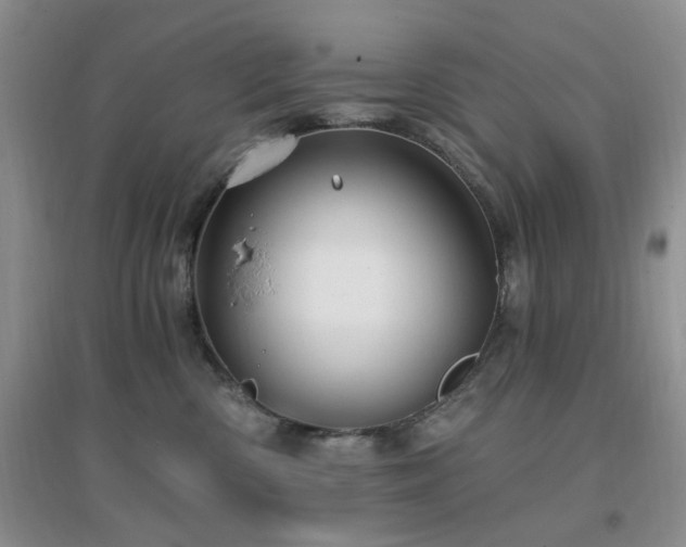 X0000096970426200802081256