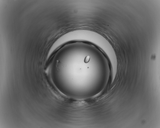 X0000096970427200802081256