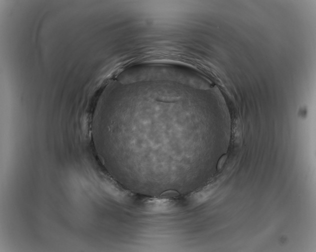 X0000096970428200802081256