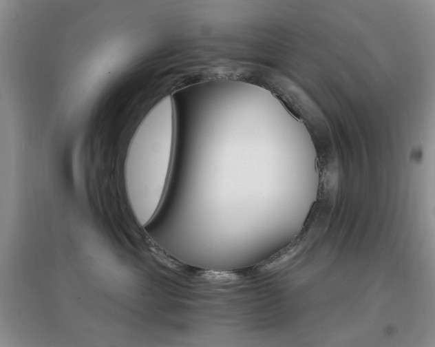 X0000096970429200802081256