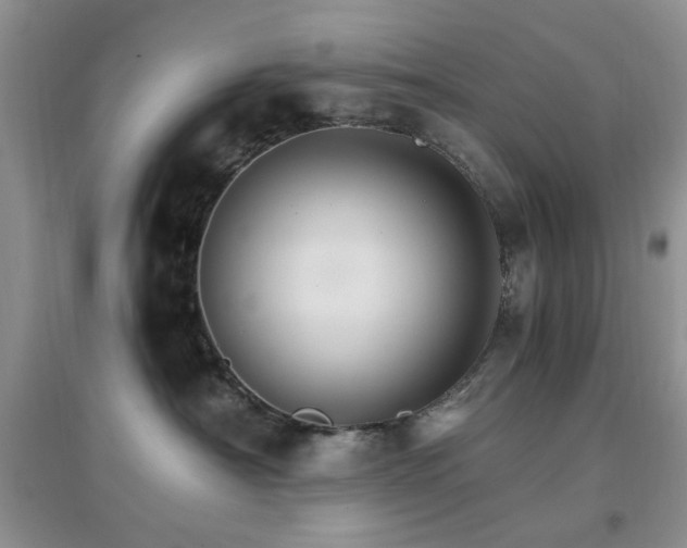 X0000096970430200802081256