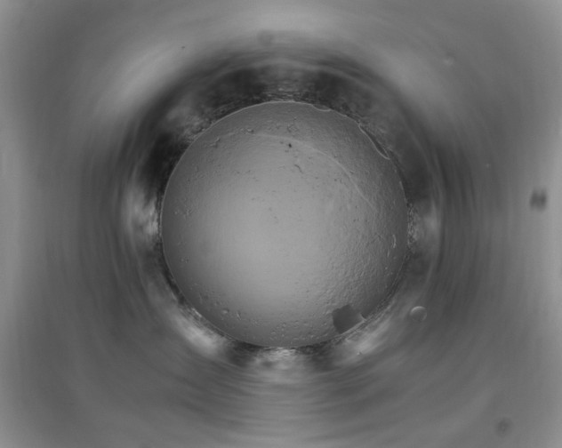 X0000096970431200802081256