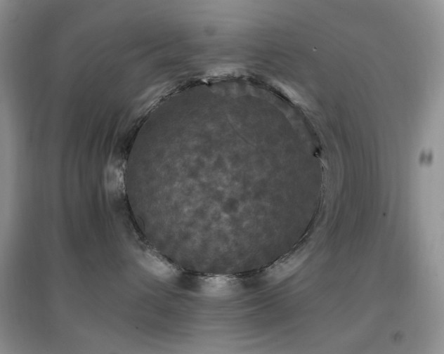 X0000096970432200802081256