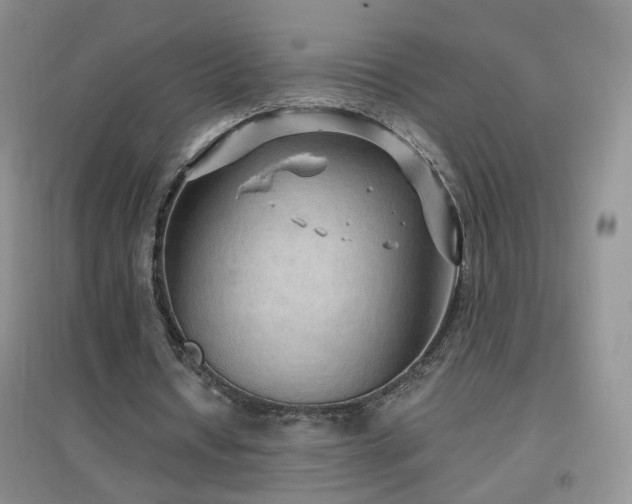 X0000096970434200802081255