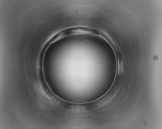 X0000096970435200802081255