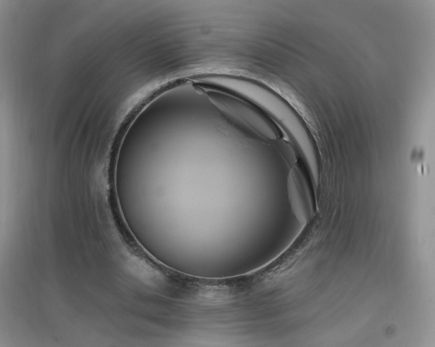 X0000096970438200802081255