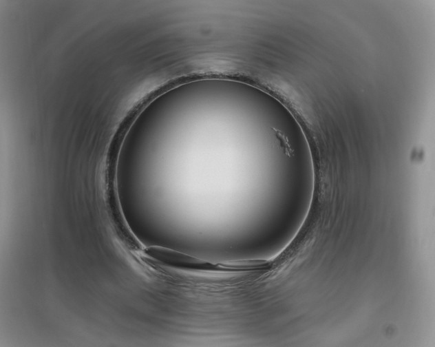 X0000096970439200802081255
