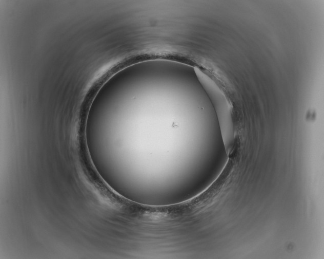 X0000096970440200802081255